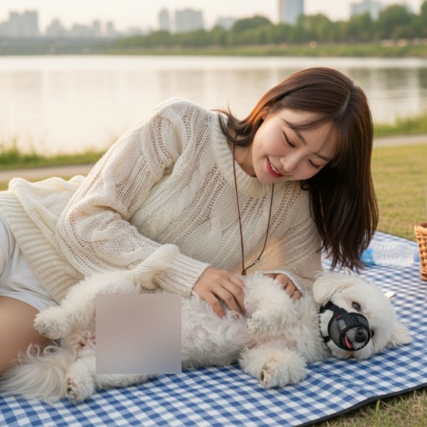 페오펫몰,예보들 강아지 투명입마개 짖음방지기 대형견입마개 소형견입마개