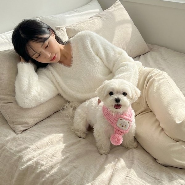 페오펫몰,[예보들] 예보들 강아지 고양이 니트 목도리