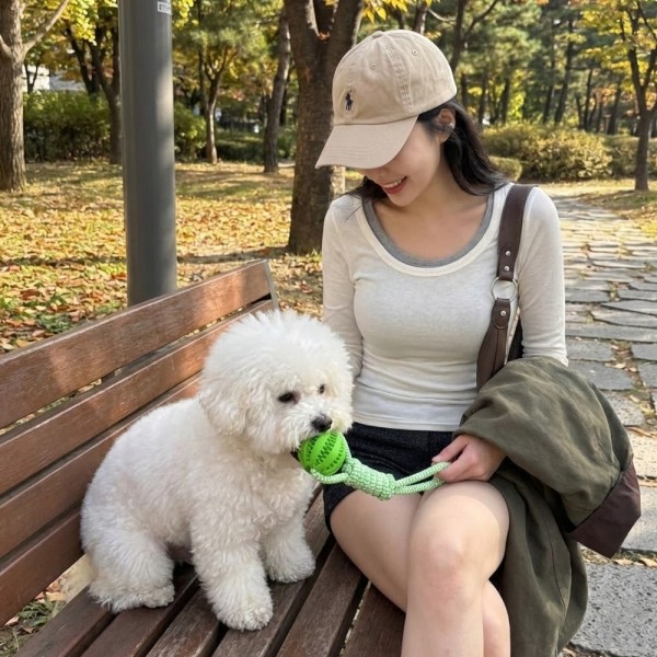 페오펫몰,[예보들] 강아지 치석제거 터그놀이 장난감