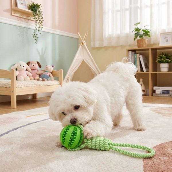 페오펫몰,[예보들] 강아지 치석제거 터그놀이 장난감