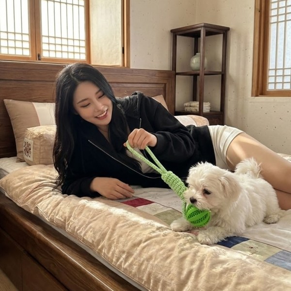 페오펫몰,[예보들] 강아지 치석제거 터그놀이 장난감