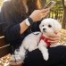 썸네일(스크롤)