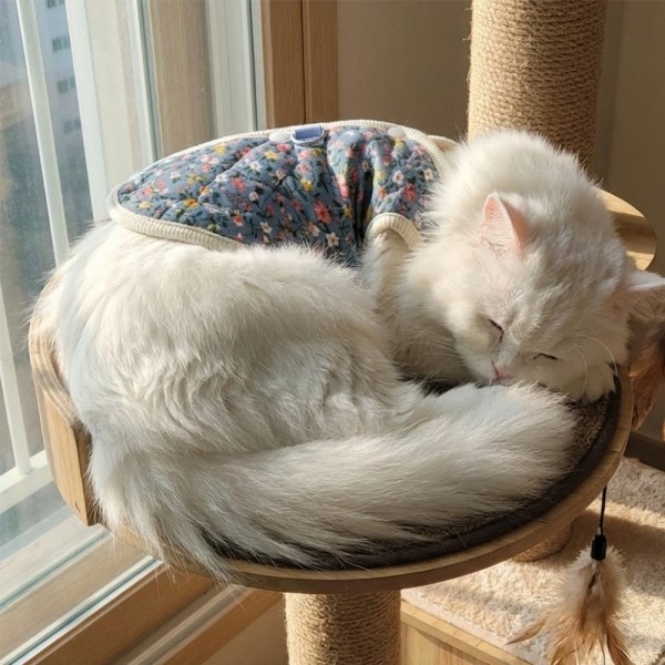 페오펫몰,[예보들][꽃길특가] 하네스 필요없는 강아지 누빔 조끼 강아지 패딩 조끼 하네스 일체형 퀼팅 겨울 옷 누빔 산책용 꽃무늬 소형견 중형견