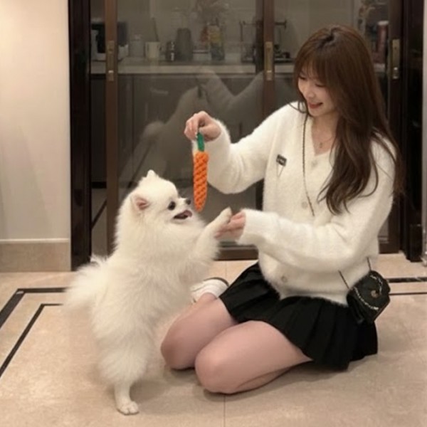 페오펫몰,튼튼한 면로프 강아지 노즈워크 당근 장난감 치석제거 터그놀이