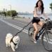 썸네일(스크롤)