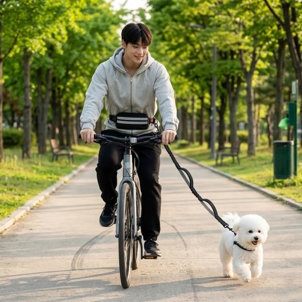 페오펫몰,고탄성 충격흡수 핸즈프리 강아지 리드줄 멀티 산책 파우치 벨트 세트 2종