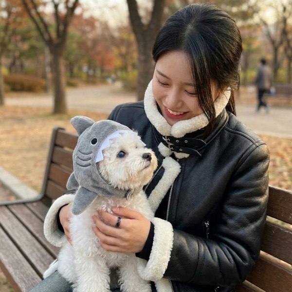 페오펫몰,[반려동물] 귀여운 상어 인형 펫 모자 강아지 고양이 공용 코스튬 소품