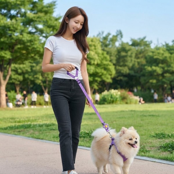 페오펫몰,[예보들] 프리미엄 플라워 2-in-1 강아지 차량용 안전벨트 및 산책 리드줄 세트