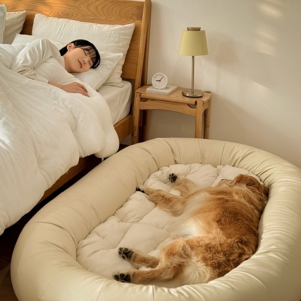 페오펫몰,[댕린이특가] 펫투데이 댕베드 강아지 초대형 범퍼 침대 방석 하우스 집 XXL