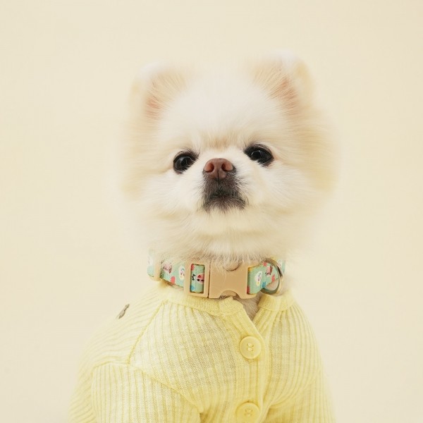 페오펫몰,[힛찌] 초경량 패턴 강아지목줄 고양이목줄 부드러운 초소형견 소형견 중형견 목줄