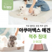 썸네일(스크롤)