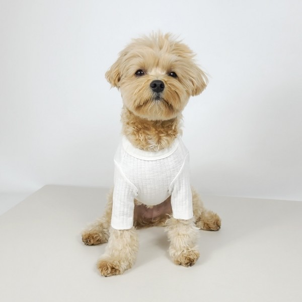 페오펫몰,그루밍독 반려동물 솜사탕 데일리 티셔츠 S-2XL, 4 colors