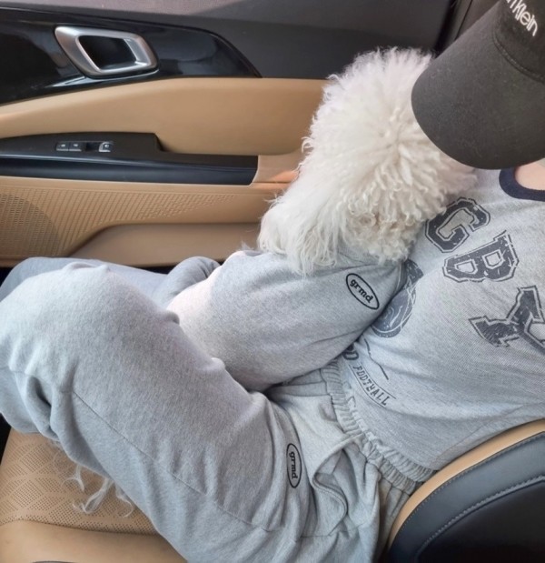 페오펫몰,그루밍독 커플룩 견주옷 모닝 트레이닝 조거 팬츠 FREE, 4 colors