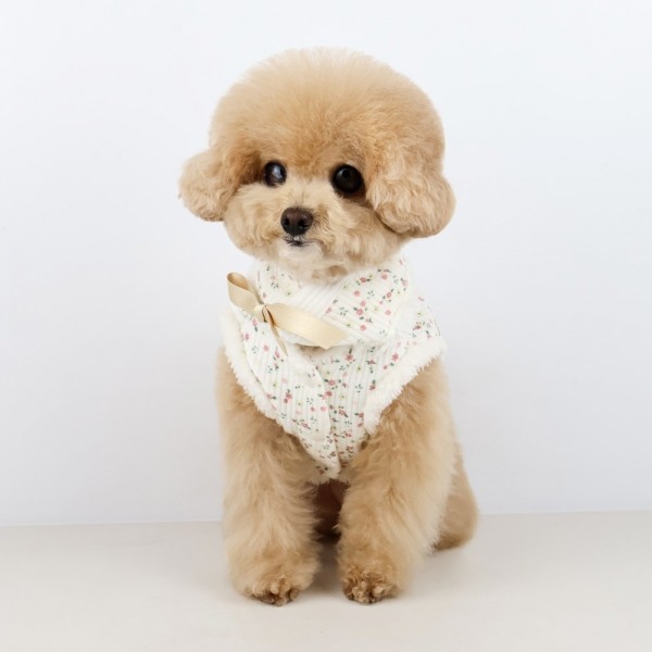 페오펫몰,그루밍독 반려동물 명절한복 꽃댕이 배자조끼/케이프, 2colors