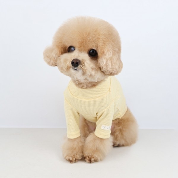 페오펫몰,그루밍독 반려동물 소프트와플 기본 티셔츠 S-2XL, 4colors