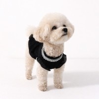 반려동물 살랑 시스루 블라우스 봄패션 S-XL, 2colors