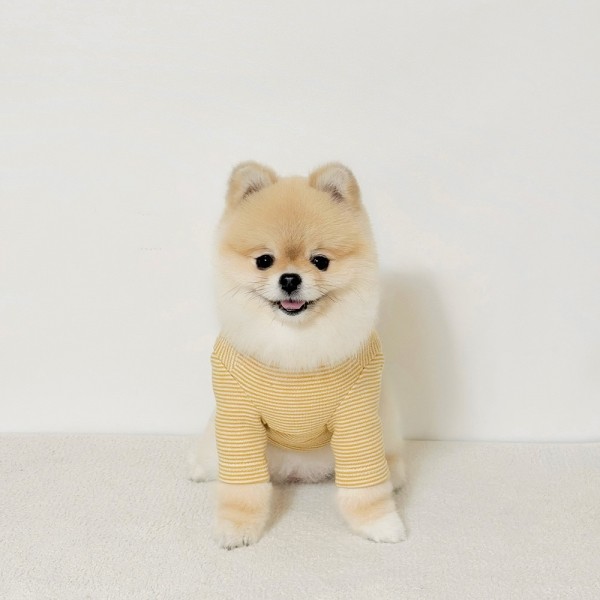 페오펫몰,그루밍독 가을옷 우드 버튼 티셔츠 S-2XL, 3 colors