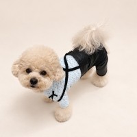 그루밍독 가을무드 레더 팬츠 S-XL, 2 colors