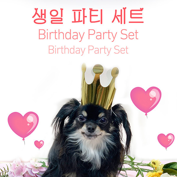 페오펫몰,봉봉맘 강아지생일파티세트(케익+미역국) 캥거루고구마케익/블루베리치즈케익 2종 선택, 황태미역국/소고기미역국 2종 선택 강아지생일파티세트 강아지생일