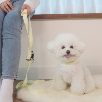 펫베오 5초 리쉬 강아지 순면 핸즈프리 리드줄 리쉬