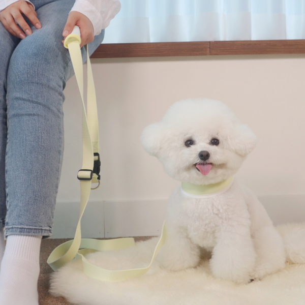 페오펫몰,펫베오 5초 리쉬 강아지 순면 핸즈프리 리드줄 리쉬