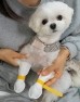 썸네일(스크롤)
