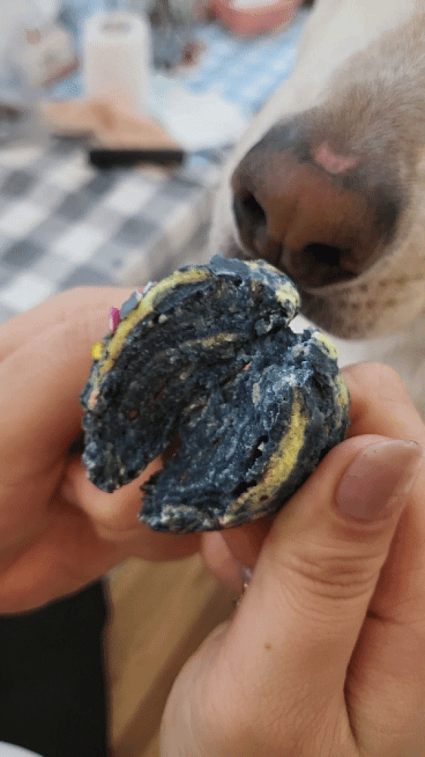 페오펫몰,[슈퍼멍멍]스쿱 쿠키 천연 분말 2p