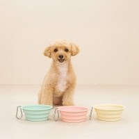 레토 강아지 물그릇 산책용 밥그릇 고양이 휴대용 접이식 실리콘 식기 LDB-F03