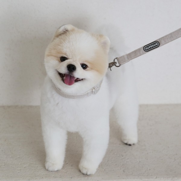 페오펫몰,[리토가토] 오가닉 목줄