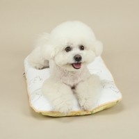 [리토가토] 포르페 인견 쿨링 더블매트 - 옐로우