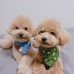 썸네일(스크롤)