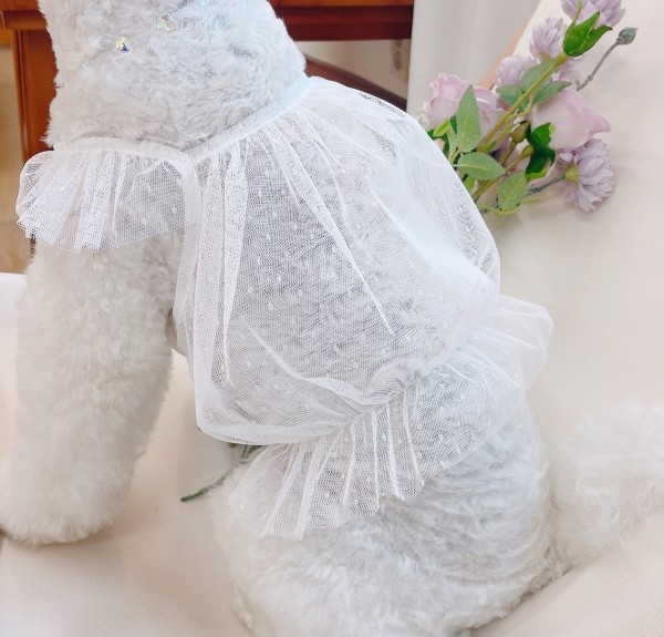 페오펫몰,[우다다다] Giftcandy crop 기프트캔디 크롭