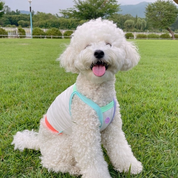 페오펫몰,[우다다다] Mix match COOL crop 믹스매치 쿨 크롭티
