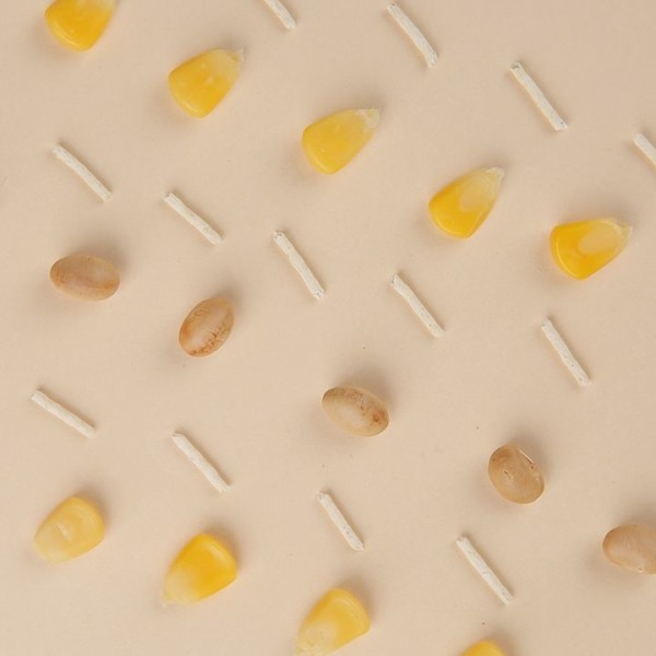 페오펫몰,[페슬러] 펫프렌즈 샌드바이블 두부 오리지널 7L