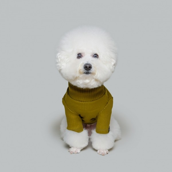 페오펫몰,베이직 터틀넥 올리브