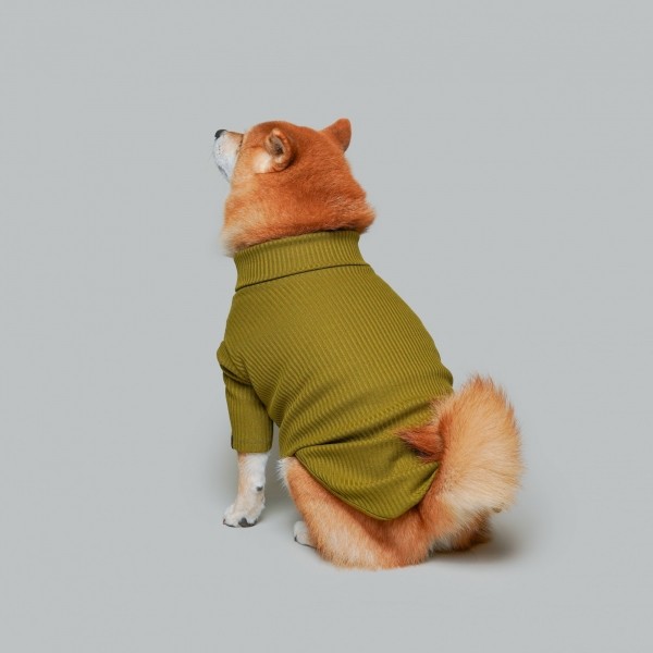 페오펫몰,베이직 터틀넥 올리브
