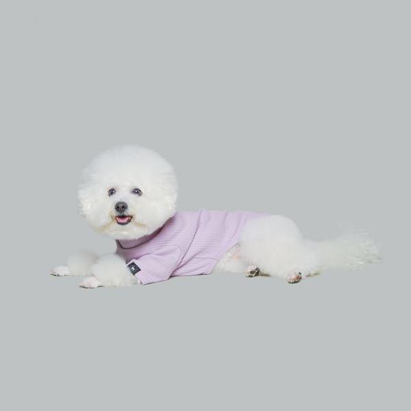 페오펫몰,베이직 터틀넥 라벤더