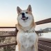 썸네일(스크롤)