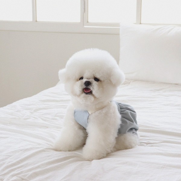 페오펫몰,쉬오트 러브썸 볼륨 오버롤 (블루)