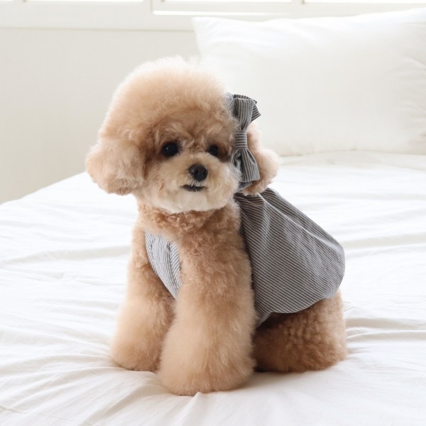 페오펫몰,[댕캉스특가] 쉬오트 베이비 벌룬 탑 (차콜)