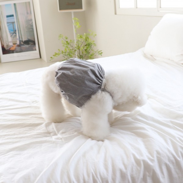 페오펫몰,[댕캉스특가] 쉬오트 베이비 벌룬 탑 (차콜)