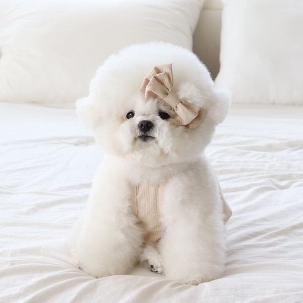 페오펫몰,[댕캉스특가] 쉬오트 베이비 벌룬 탑 (버터베이지)