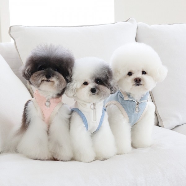 페오펫몰,쉬오트 에센셜 퀵 코트 (크림)