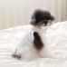 썸네일(스크롤)