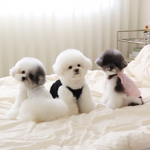 페오펫몰,[댕캉스특가] 쉬오트 뮤즈 니트 탑 (블랙)