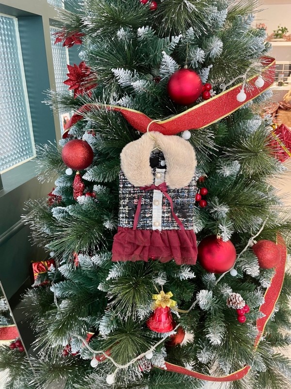 페오펫몰,치어펫 연말 파티의 주인공은 나야나 - 목도리SET /강아지 트위드 원피스