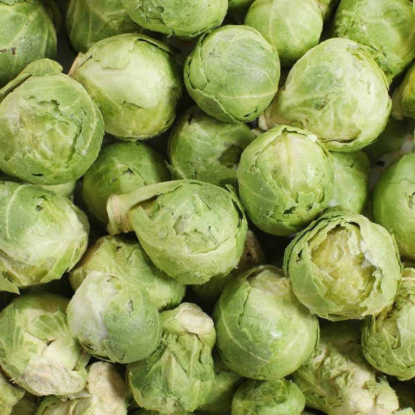 페오펫몰,[2개세트] 알로키친 알로칩스 베지믹스 #제주구좌당근 #단호박 #방울양배추