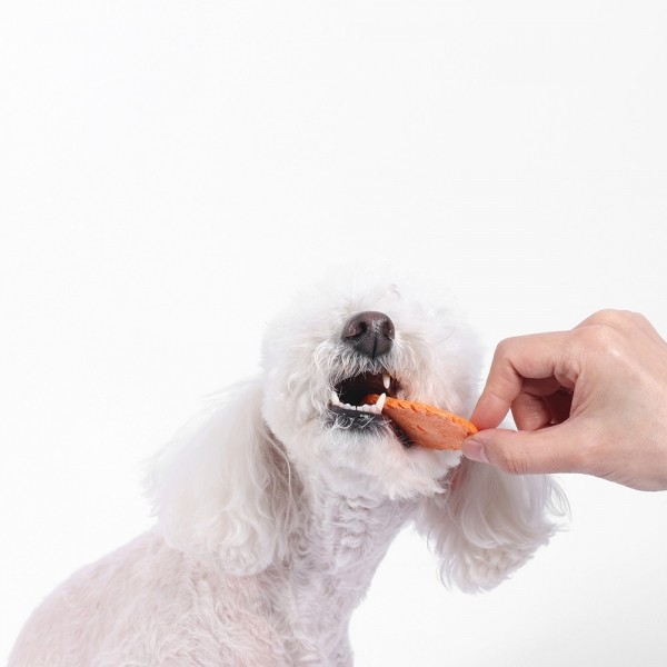 페오펫몰,[2개세트] 알로키친 알로칩스 베지믹스 #제주구좌당근 #단호박 #방울양배추