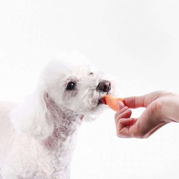 페오펫몰,[2개세트] 알로키친 알로칩스 후르츠믹스 #애플망고 #바나나 #사과