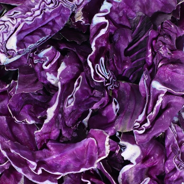 페오펫몰,[2개세트] 알로키친 알로칩스 적양배추칩